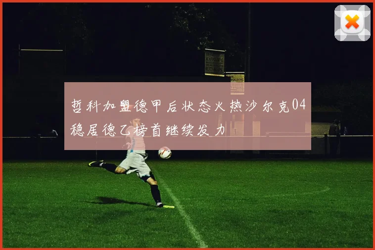 哲科加盟德甲后状态火热沙尔克04稳居德乙榜首继续发力
